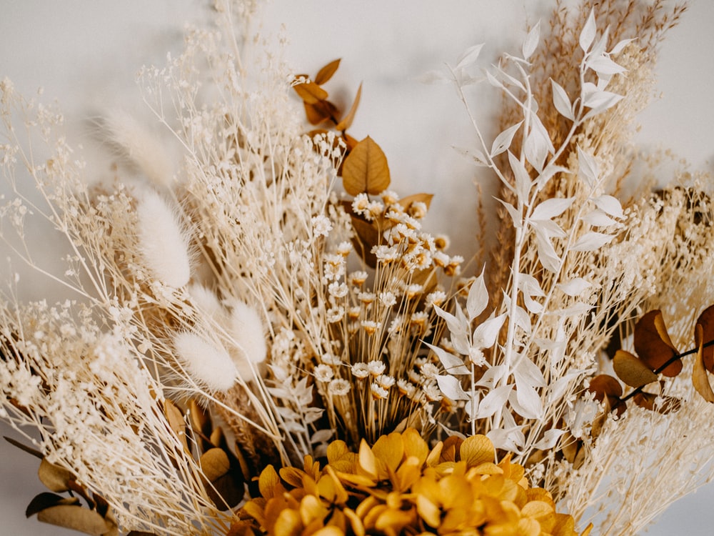 What Makes Dried Flowers Perfect Choice for Many Purposes?