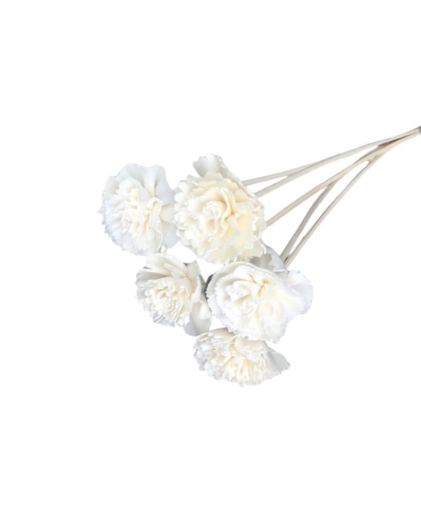 Carnation ( sola flower ) - White