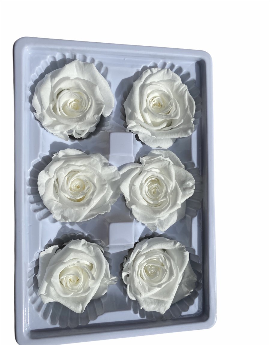 Rose Heads(PRESERVED ROSA) - Pure White