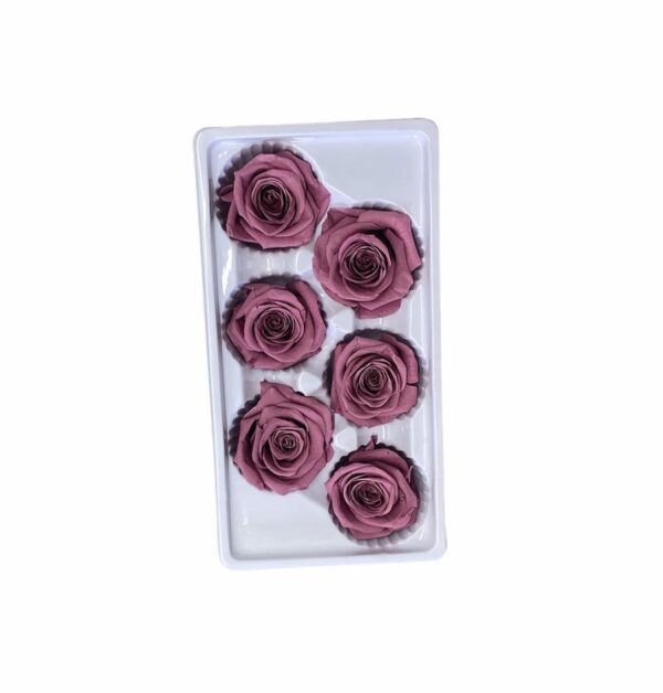 Rose Heads(PRESERVED ROSA) - Dusty Pink