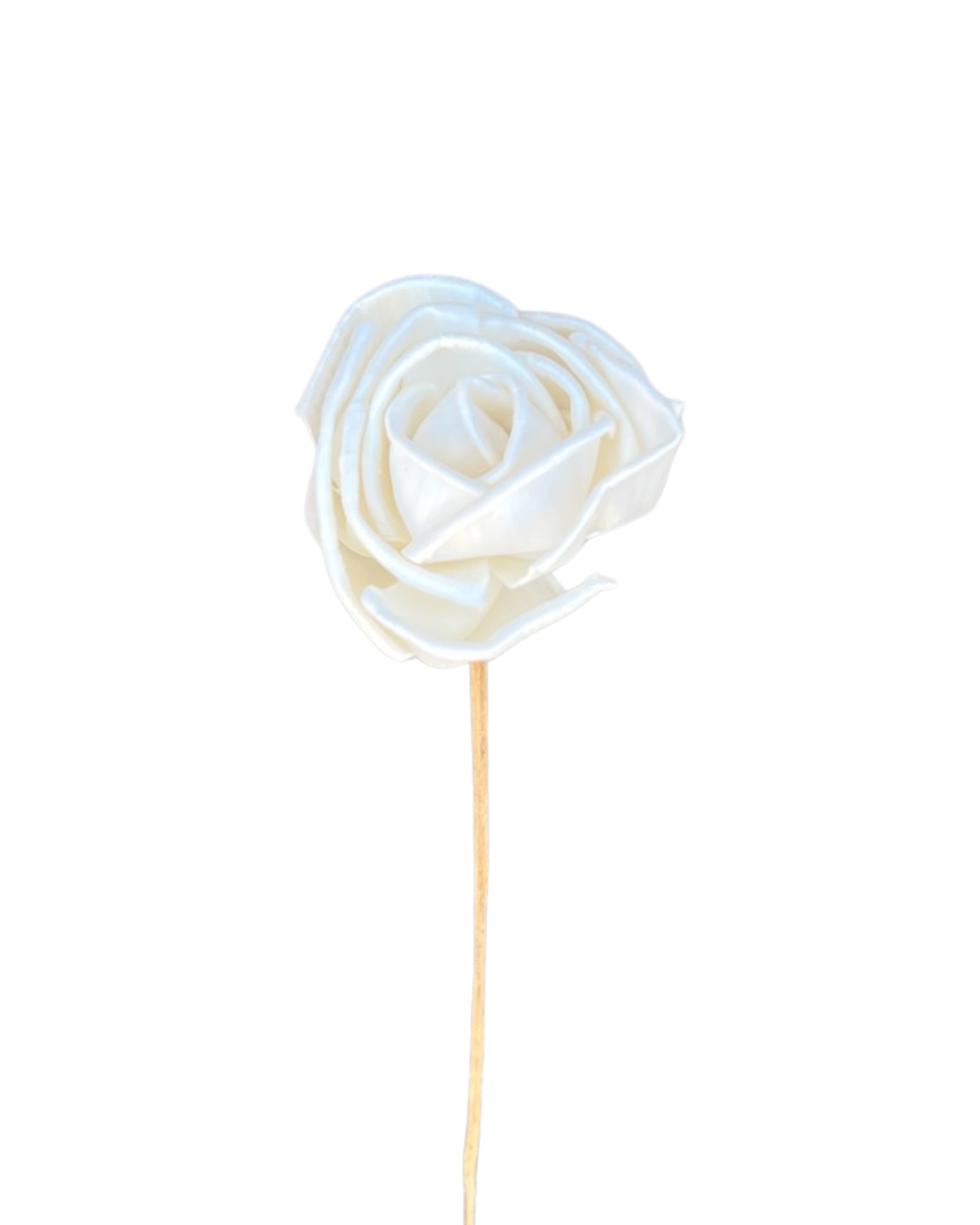 Sola(Rose) paper flower - White