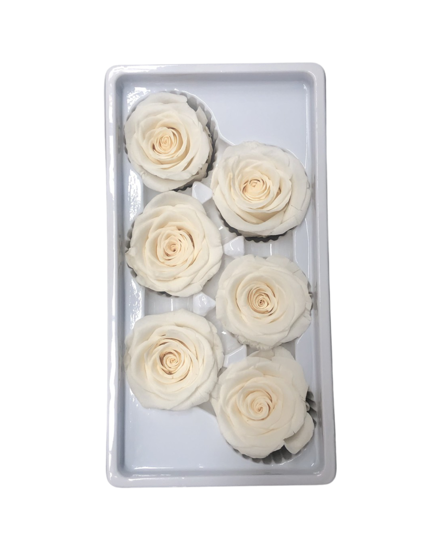 Rose Heads(PRESERVED ROSA) - White (Cream)